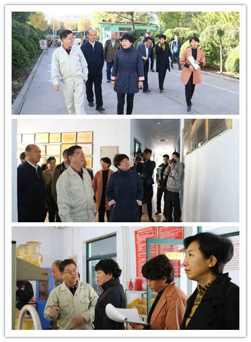 德州市马副市长莅临颜料厂家|山东看片软件APP