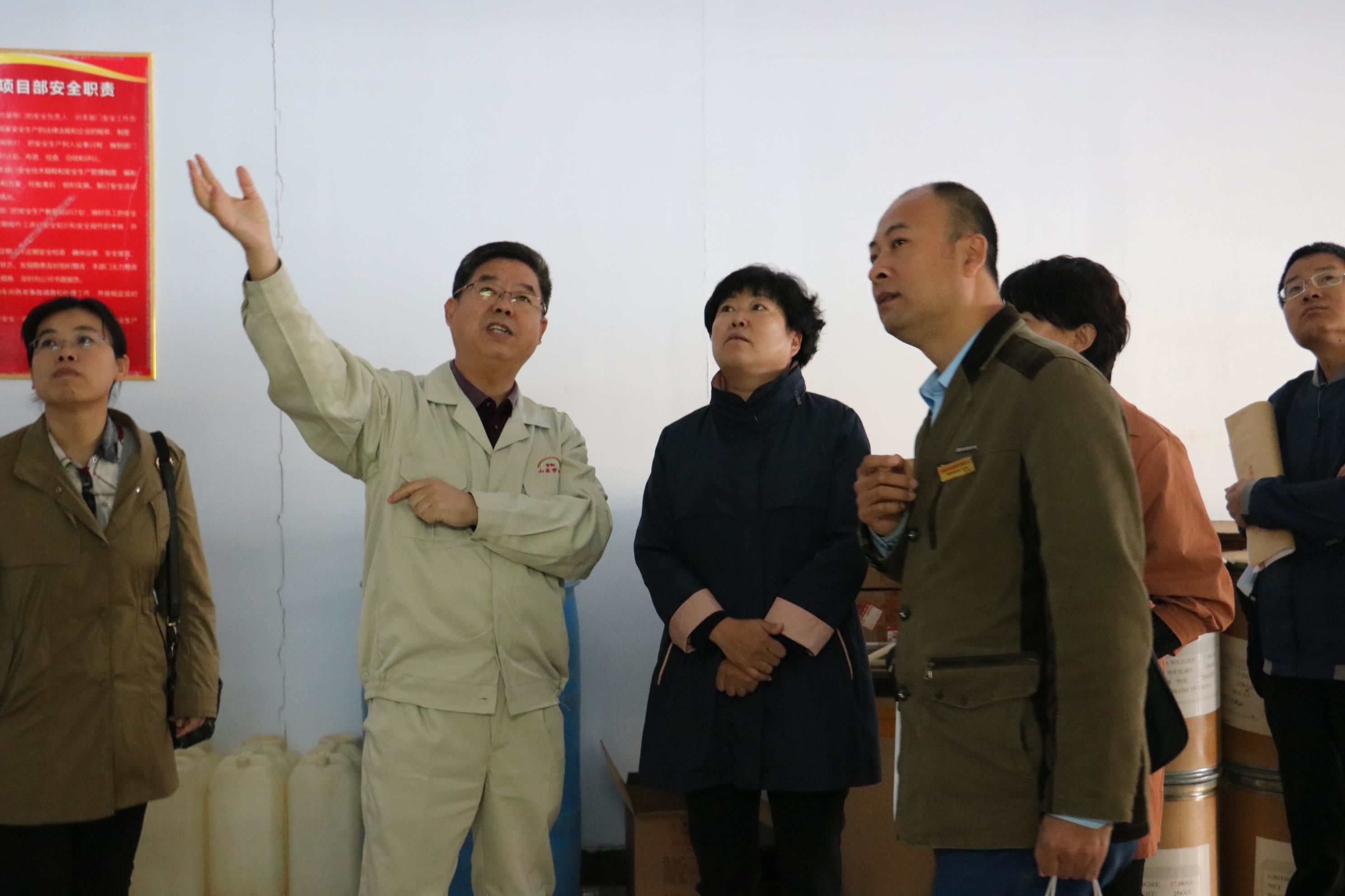 德州市马副市长莅临颜料厂家|山东看片软件APP